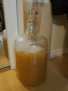 Racked to a carboy 2017-07-16. Fingers crossed!
