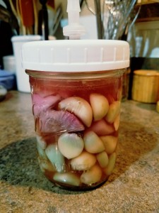 pickleparty-garlic