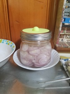 Started a batch of shallots too.